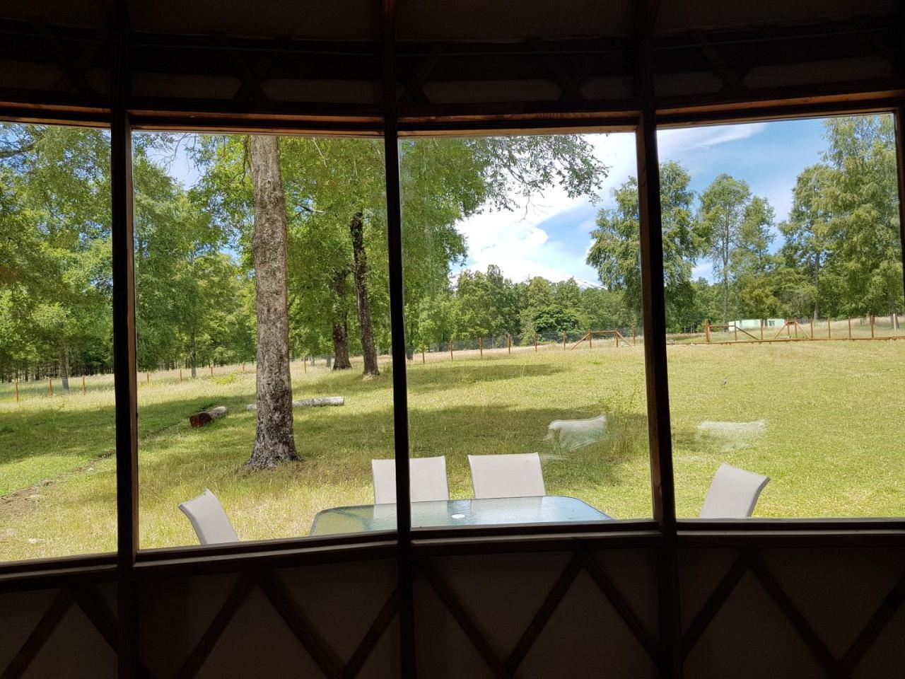 Ruka Camp Molco