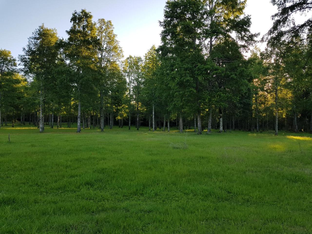 Ruka Camp 2*