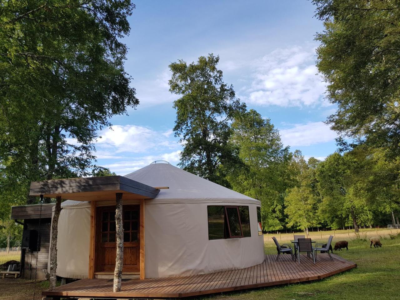 Ruka Camp 2*